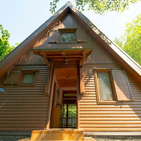 Ferienhaus Ederer Waldmünchen Exterior foto