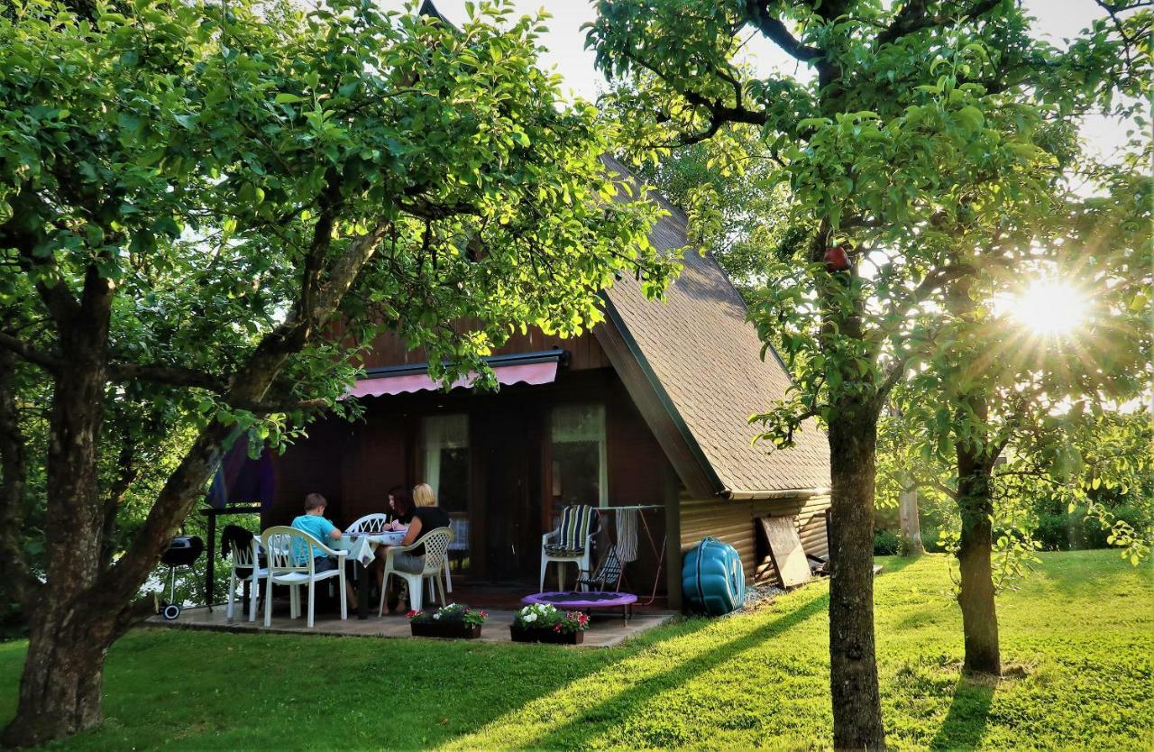 Ferienhaus Ederer Villa Waldmünchen Exterior foto