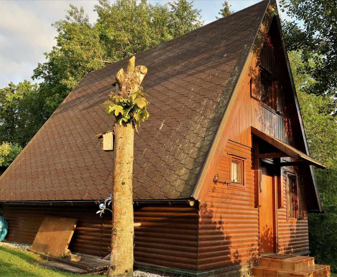 Ferienhaus Ederer Villa Waldmünchen Exterior foto